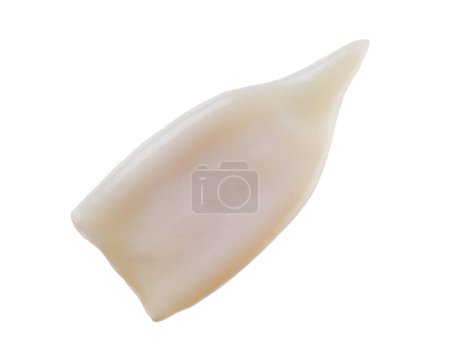 Photo for Fresh raw squids . Squid tubes  isolated on white background, top view. Fresh raw squid or cuttlefish fillet isolated on white background. - Royalty Free Image