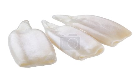 Photo for Fresh body squids, raw three squids isolated on white background. Calamari round tubes isolated on white background. - Royalty Free Image