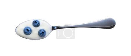 Foto de Yogur probiótico y arándano en una cuchara de metal aislado sobre un fondo blanco, vista superior. - Imagen libre de derechos