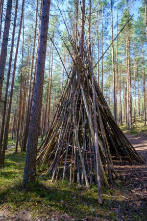 Téléchargez les photos : Un immense abri de brindilles et de branches sur la clairière dans une forêt profonde entourée d'arbres et de verdure - en image libre de droit
