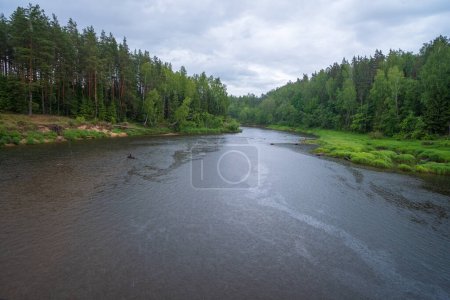 Vista panorámica del río Gauja girar desde el camino en la colina. Parque Nacional de Gauja, Letonia
