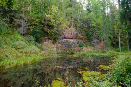 Foto de Antiguos acantilados de piedra arenisca roja en Letonia. Antiguo afluente fluvial con plantas acuáticas verdes. - Imagen libre de derechos