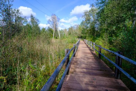 Foto de Un puente de madera, un camino con una barandilla como lugar para que los turistas caminen hacia un entorno difícil en Letonia - Imagen libre de derechos