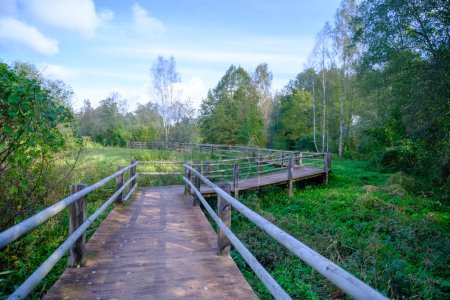 Foto de Un puente de madera, un camino con barandillas como lugar para que los turistas caminen hacia un objeto ambiental de difícil acceso en Letonia. - Imagen libre de derechos