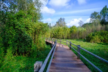 Foto de Un puente de madera, un camino con una barandilla como lugar para que los turistas caminen hacia un entorno difícil - Imagen libre de derechos