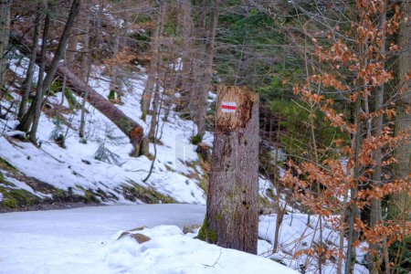 Téléchargez les photos : Marque touristique sur une souche avec des rochers. Vallée de Strazyska en hiver. Les montagnes Tatra en Pologne, Europe. - en image libre de droit