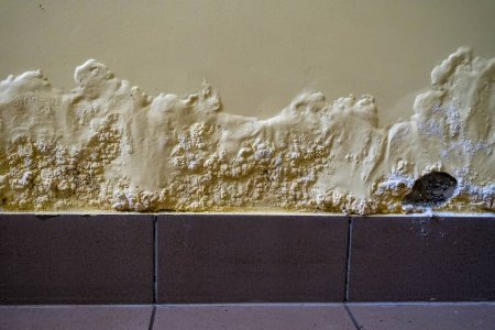 Eine beschädigte Wand zeigt Anzeichen von Feuchtigkeit und Schimmelbildung, die sofortige Reparatur und Wartung erfordern