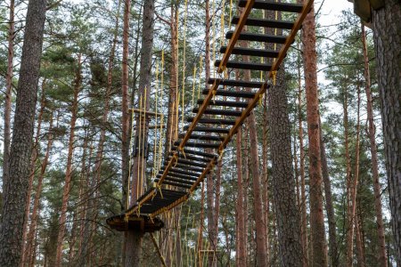 A treetop adventure park with a suspended bridge among tall pine trees