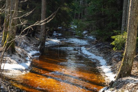 A small stream flows through a snowy forest, reflecting the sunlight.