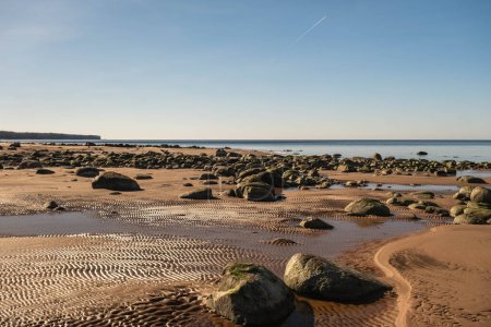 Un paysage de plage serein mettant en valeur un rivage rocheux et des piscines marémotrices sous un ciel bleu clair.