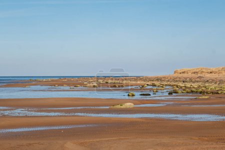 Une scène de plage tranquille avec des piscines marémotrices au milieu des rochers et un ciel bleu clair.