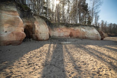 Un paysage serein avec des roches érodées au milieu d'un sol forestier sablonneux. falaises de Veczemju, Lettonie