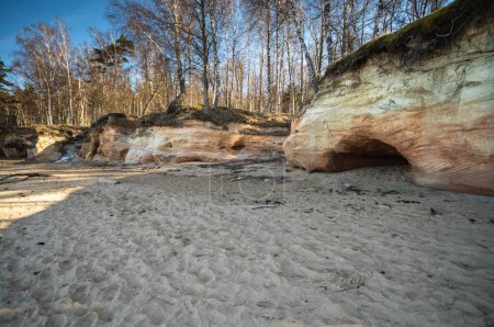 Eine ruhige Landschaft mit erodierten Felsen inmitten eines sandigen Waldbodens. Klippen von Veczemju, Lettland