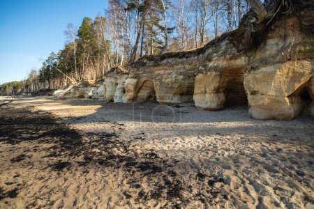 Sunlit eroded rocks with intricate formations stand amidst a serene forest on a sandy beach Veczemju cliffs, Latvia
