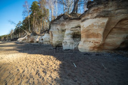 A serene landscape featuring eroded sandstone formations amidst a tranquil forest under the clear blue sky. Veczemju cliffs, Latvia