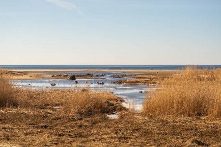 Un paisaje costero sereno con aguas tranquilas intercaladas y hierbas doradas.