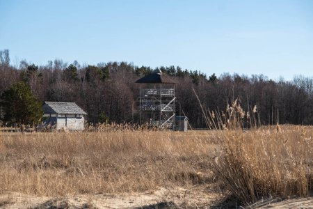 A wooden observation tower overlooks a field and a leafless forest.