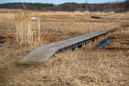 A serene landscape featuring a wooden pathway amidst dry grasses under the clear sky.