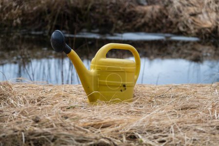 A yellow watering can rests on the grassy bank next to the shimmering waters of a lake in a natural landscape within a diverse ecoregion