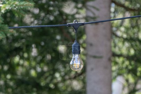 Una sola bombilla colgante suspendida al aire libre en una zona boscosa, que combina la iluminación moderna con el entorno natural.