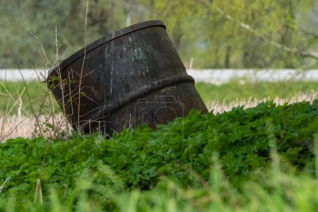 Foto de Un cubo viejo y oxidado, envuelto por una vegetación vibrante, exhibe naturalezas que reclaman poder y el paso del tiempo. - Imagen libre de derechos