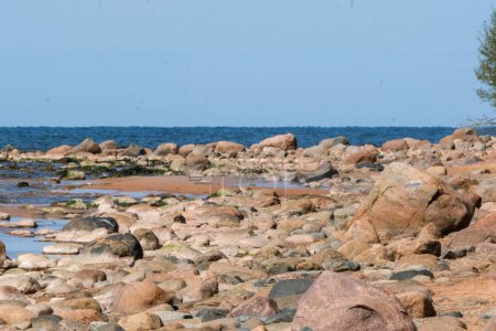 A rocky shoreline extends towards the calm blue ocean under a clear sky, creating a natural and serene coastal scene.