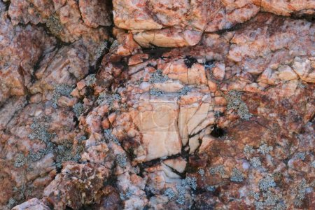 Gros plan détaillé d'une formation rocheuse recouverte de lichen, mettant en valeur les textures et les couleurs complexes de la surface naturelle.