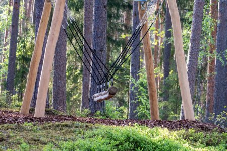 Eine rustikale Holzschaukel hängt auf einem Waldspielplatz, umgeben von hohen Bäumen und sattgrünem Unterholz, und bietet einen natürlichen Spielbereich.