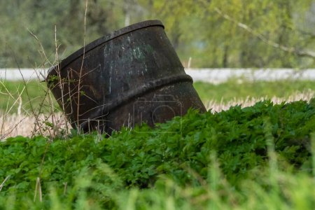 Foto de Un cubo viejo y oxidado, envuelto por una vegetación vibrante, exhibe naturalezas que reclaman poder y el paso del tiempo. - Imagen libre de derechos