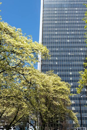 Téléchargez les photos : Gares skytrain printemps Burrard Station après les fleurs de cerisier contre l'arbre vient de fleurir dans le ciel bleu Vancouver Canada 2023 - en image libre de droit