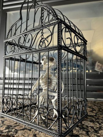 Foto de Esqueleto de pájaro se sienta en una jaula de Halloween en pleno apogeo Primer plano de la decoración de halloween Cámara estática no mueve la cadena por encima de la cabeza del esqueleto es asombrosa chimenea en el fondo - Imagen libre de derechos
