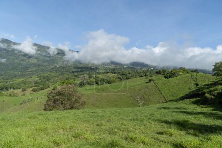 Foto de Paisaje natural en una tarde de verano. Tamesis, Antioquia, Colombia. - Imagen libre de derechos