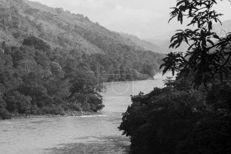 Téléchargez les photos : Paysage naturel surplombant la rivière Cauca à Puerto Valdivia, Antioquia, Colombie. - en image libre de droit
