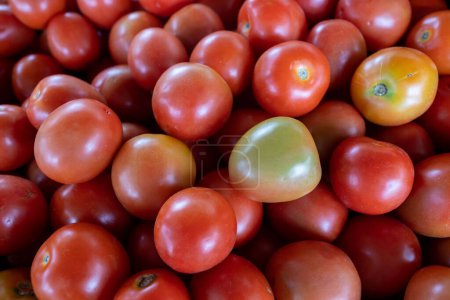 Téléchargez les photos : Pile de tomates vertes et rouges sur le marché. - en image libre de droit