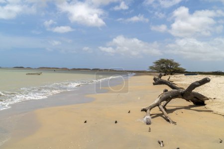 Foto de Paisaje panorámico en día soleado, playa de Cabo de la Vela. Guajira, Colombia - Imagen libre de derechos