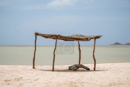 Téléchargez les photos : Petite cabane de paille et de bâtons sur la plage de Cabo de la Vela. Guajira, la Colombie. - en image libre de droit