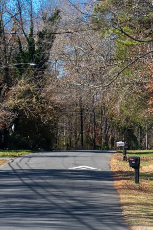 Foto de Fondos de pantalla con cielo azul y árboles de colores otoñales en Charlotte, Carolina del Norte, Estados Unidos - Imagen libre de derechos