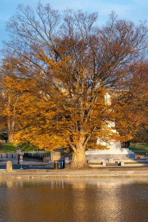 Foto de Jardines y árboles de otoño en el capitolio. Washington DC, Estados Unidos. - Imagen libre de derechos