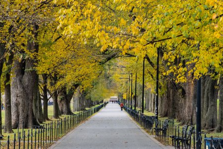 Bunte Herbstbäume in den Constitution Gardens. Washington D. C Vereinigte Staaten.
