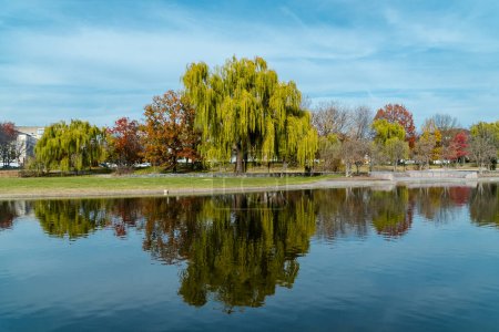 Foto de Jardines de la constitución con lago y reflejo en el agua. Washington D.C Estados Unidos. - Imagen libre de derechos