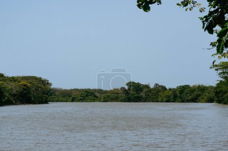 Photo for Boats on the river with natural panoramic landscape. Uraba, Colombia. - Royalty Free Image
