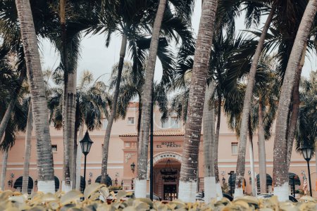 Photo for Barranquilla, Atlantico, Colombia. March 13, 2023: Facade of hotel el prado and palm trees. - Royalty Free Image