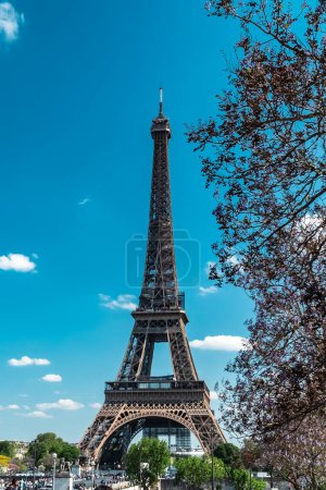 Photo for Eiffel tower in Paris, France - Royalty Free Image