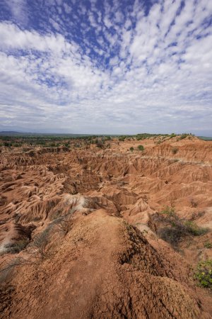 Foto de Paisaje árido en el desierto rojo y cielo azul. Desierto de Tatacoa, Colombia. - Imagen libre de derechos