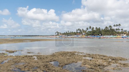 Foto de Porto de Galinhas, Ipojuca, Brasil. 16 de septiembre de 2019: Playa con sombrillas de colores, cielo azul y palmeras. - Imagen libre de derechos