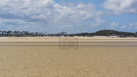 Foto de Paisaje en la playa de Carneiros con árboles de arena y cielo azul. Tamandare, Brasil. - Imagen libre de derechos