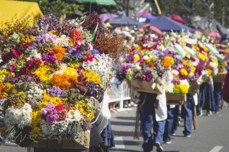 Téléchargez les photos : Medellin, Antioquia, Colombie. 11 août 2019 : Défilé de Silleteros à la Foire aux fleurs. - en image libre de droit