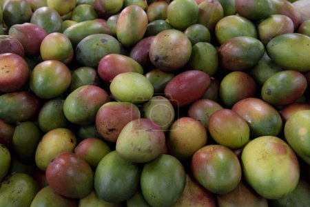Foto de Deliciosos mangos sobre mesa de madera. - Imagen libre de derechos