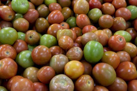 Téléchargez les photos : Pile de tomates vertes et rouges sur le marché. - en image libre de droit