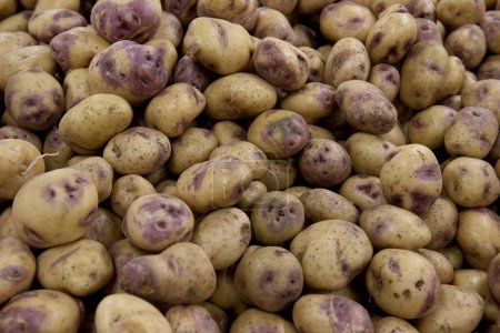 Téléchargez les photos : Contexte des pommes de terre brunes au supermarché. - en image libre de droit